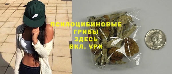 кокс Арсеньев