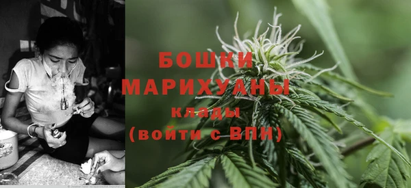 кокс Арсеньев