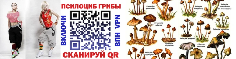 Галлюциногенные грибы прущие грибы  мега ТОР  Саров 